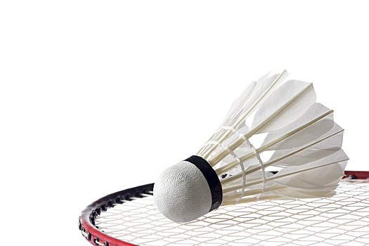 更看重本土 更看重本土